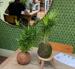 Screenshot 2024 10 19 110855