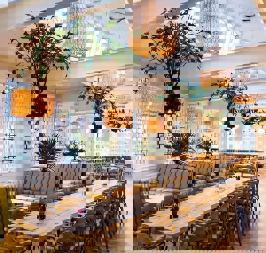 Alfred Street Bath Limeleaf 151210 15 03 55 LL034366