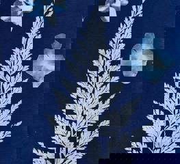 Cyanotype