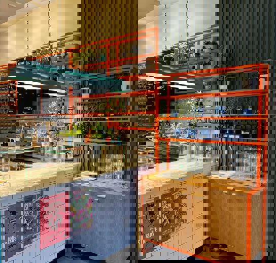 455870006 495373170167826 3350533530312172974 N