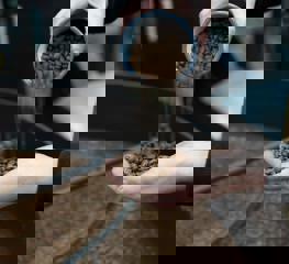 Roastery Freshly Roasted ©Extract Coffee Roasters 02 (1)