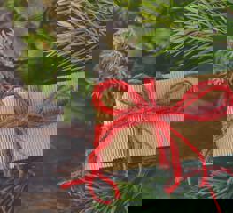 Pexels Monicore 1474961