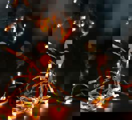 Pexels Dzeninalukac 754263