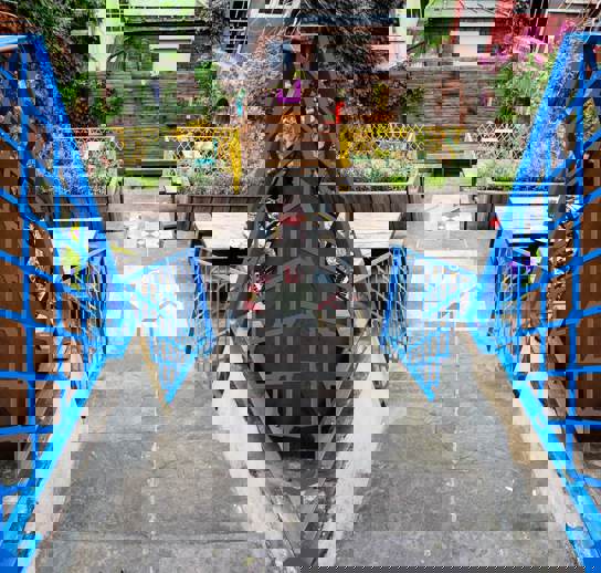 Limeleaf 160609 09 05 37 LL030022