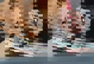 Pexels Greta Hoffman 7859273 (1)