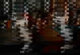 Pexels Cottonbro 4325466