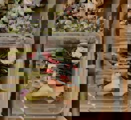 Pexels Cottonbro 4268523