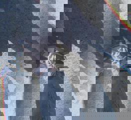 Pexels Sopitas 78162212 9305308