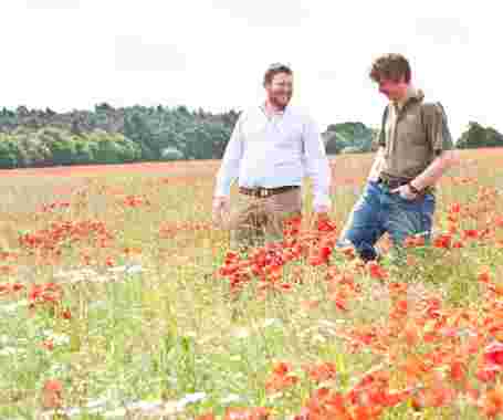 Rob & Alec Poppies