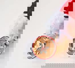 Pexels Jill Wellington 1638660 3309745 (1)