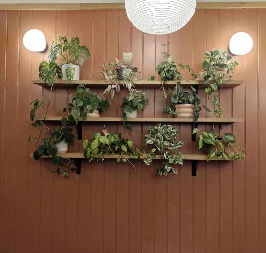 481443625 610704421887842 5931752536012132496 N