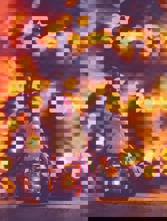 Pexels Nietjuhart 728461