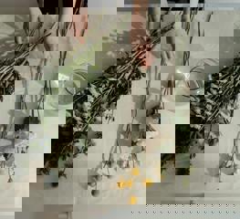 Pexels Cottonbro 4268555