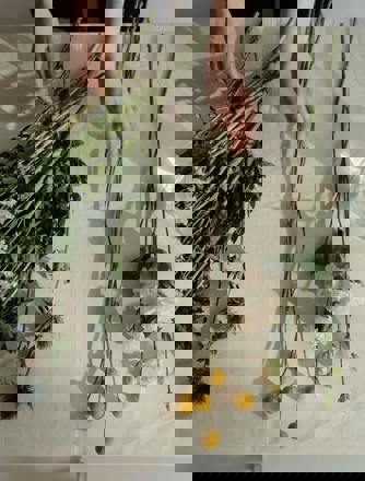 Pexels Cottonbro 4268555