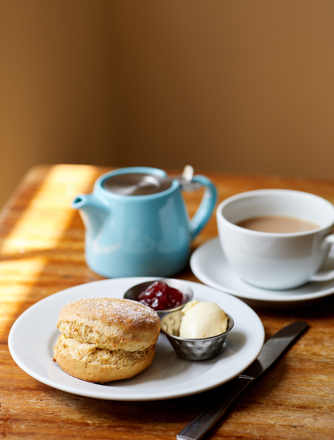 Cream Tea Scone