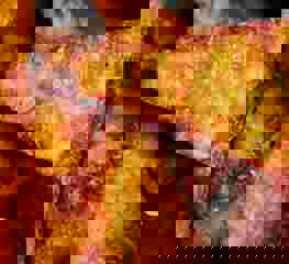 Hash Browns 2024