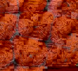 Pexels Arkay 768552413 30099046