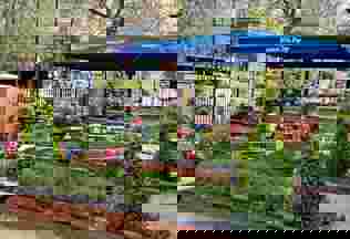 348360494 911737706603685 7575095915437453776 N
