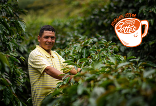 Email Banner Gif Template (6)